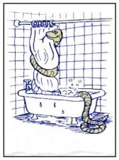 snake_in_the_shower