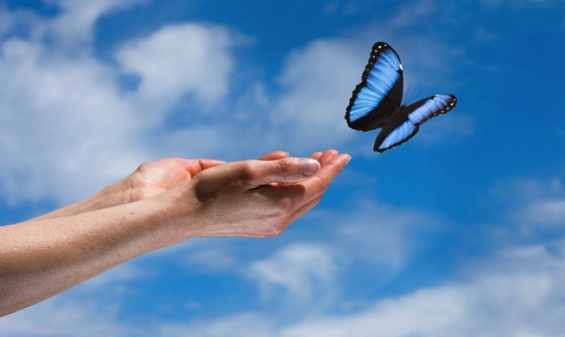 Emotional Freedom Technique (EFT) hypnotherapy with David Faratian, Cumbria