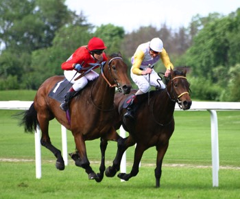 horse racing addiction